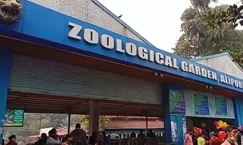 Alipore Zoo में जानवरों की संख्या को लेकर भारी भ्रम