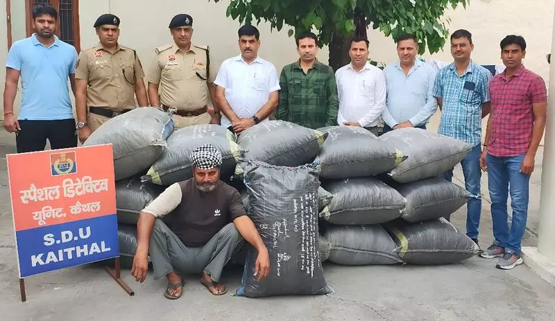 Kaithal पुलिस ने 242.56 किलोग्राम प्रतिबंधित सामान के साथ ट्रक चालक को पकड़ा Kaithal पुलिस ने 242.56 किलोग्राम प्रतिबंधित सामान के साथ ट्रक चालक को पकड़ा