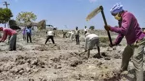 Kamalganj: फोटोबाज़ी का खेल, मनरेगा में फर्जीवाड़ा उजागर Kamalganj: फोटोबाज़ी का खेल, मनरेगा में फर्जीवाड़ा उजागर