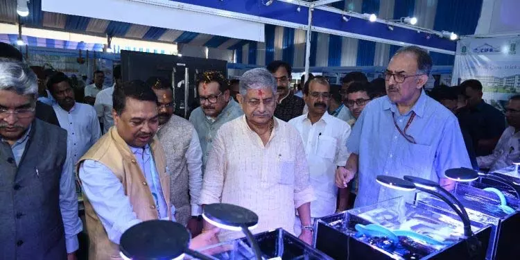 मछली उत्पादन 10 वर्षों में दोगुना हुआ: केंद्रीय मंत्री मछली उत्पादन 10 वर्षों में दोगुना हुआ: केंद्रीय मंत्री