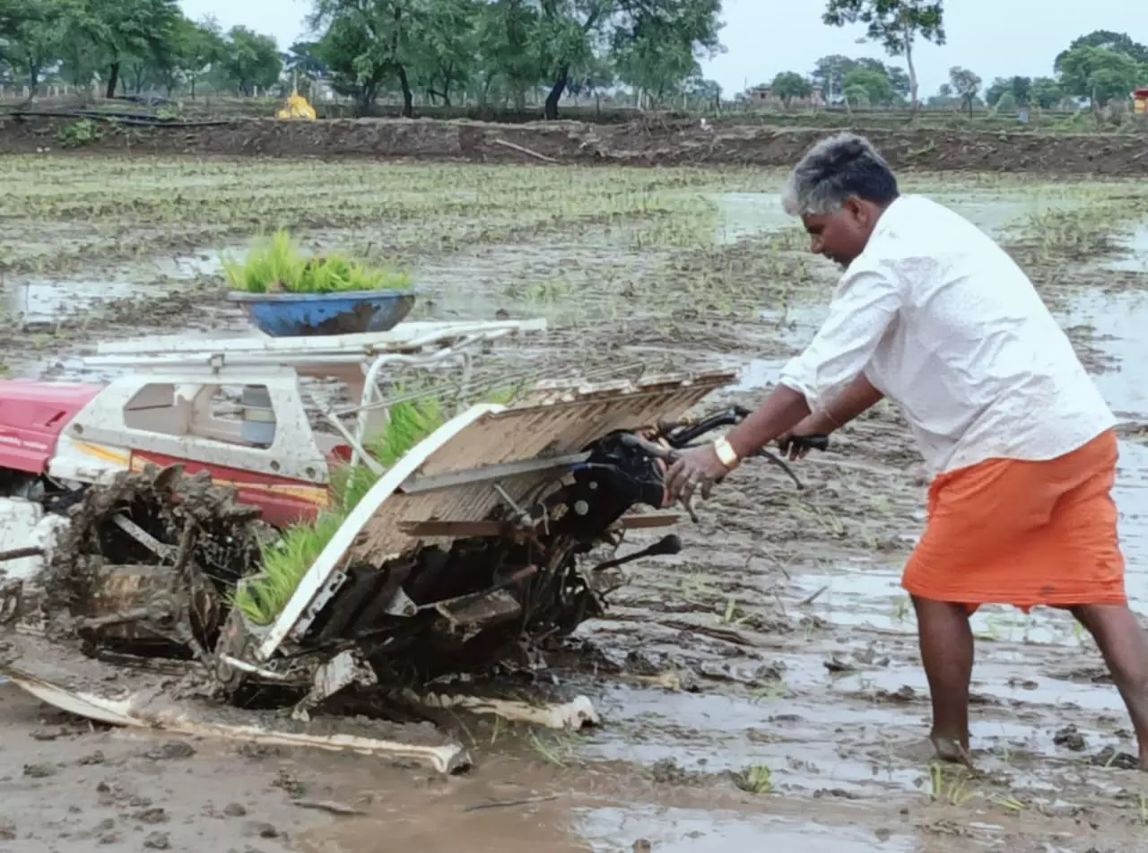 खेती में तकनीकी नवाचार से समृद्धि की ओर बढ़ते नवागढ़ के किसान खेती में तकनीकी नवाचार से समृद्धि की ओर बढ़ते नवागढ़ के किसान