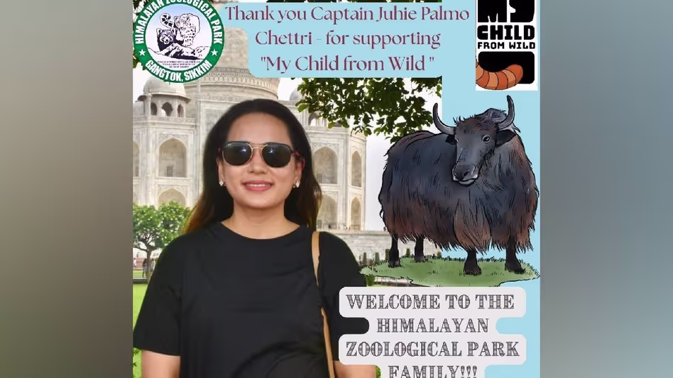 Sikkim : पायलट ने वन्यजीव संरक्षण अभियान के तहत याक ‘आबो’ को गोद लिया Sikkim : पायलट ने वन्यजीव संरक्षण अभियान के तहत याक ‘आबो’ को गोद लिया