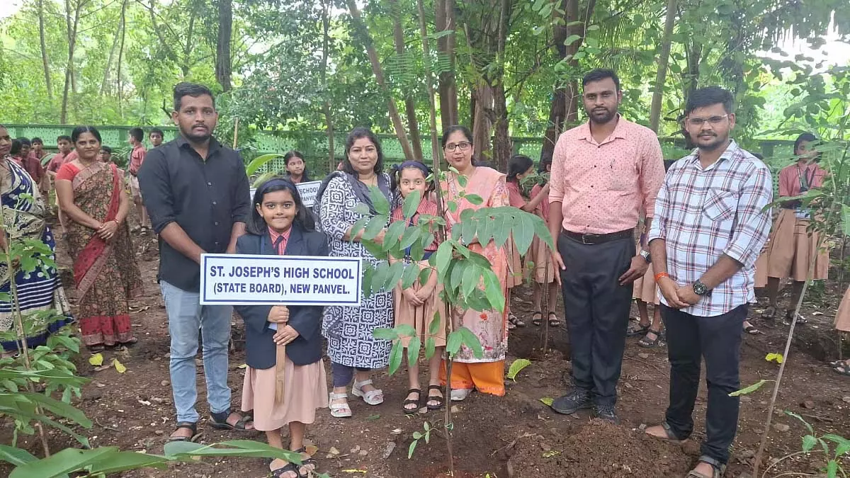पनवेल नगर निगम ने खंडा कॉलोनी में वृक्षारोपण अभियान चलाया पनवेल नगर निगम ने खंडा कॉलोनी में वृक्षारोपण अभियान चलाया