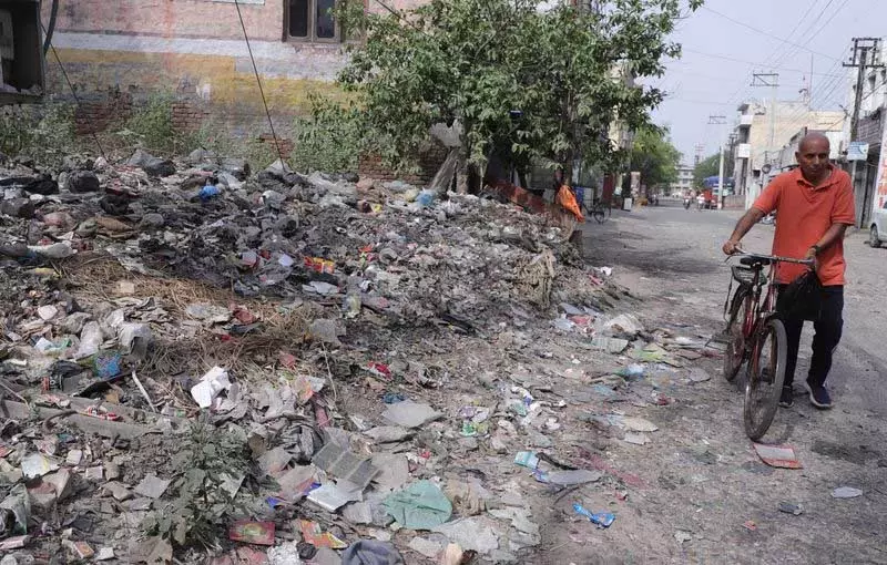 Jalandhar: कूड़ा न साफ करने पर 289 प्लॉट मालिकों को नोटिस Jalandhar: कूड़ा न साफ करने पर 289 प्लॉट मालिकों को नोटिस