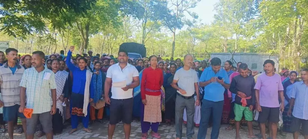 Assam: मार्गेरिटा में 38 चाय बागानों में चाय बागान श्रमिकों ने धरना दिया Assam: मार्गेरिटा में 38 चाय बागानों में चाय बागान श्रमिकों ने धरना दिया