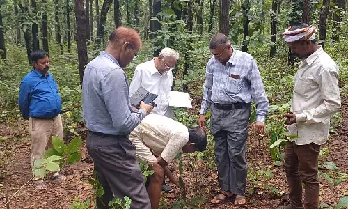 MP : आदिवासी चिकित्सा को वैज्ञानिक समर्थन मिला