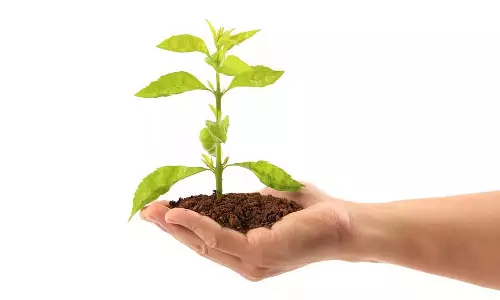 Bengaluru : आज से पौधा मेला