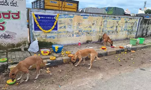 Bengaluru के स्ट्रीट डॉग्स के लिए चिकन युक्त पौष्टिक भोजन Bengaluru के स्ट्रीट डॉग्स के लिए चिकन युक्त पौष्टिक भोजन