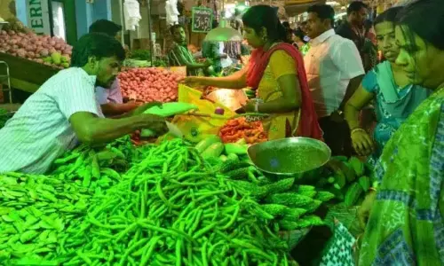 11 जुलाई को Chennai के कोयम्बेडु बाज़ार में सब्ज़ियों के दाम देखें 11 जुलाई को Chennai के कोयम्बेडु बाज़ार में सब्ज़ियों के दाम देखें