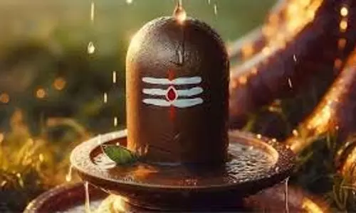 Sawan 2025: शिवलिंग पर दूध, शहद, तिल और अन्य चीजें चढ़ाने से क्या मिलता है फल Sawan 2025: शिवलिंग पर दूध, शहद, तिल और अन्य चीजें चढ़ाने से क्या मिलता है फल