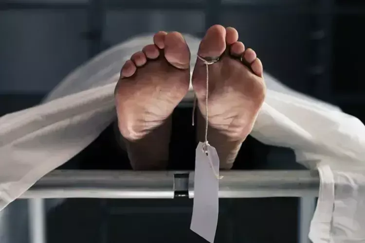 Kerala :  पालतू बिल्ली के काटने से 11 वर्षीय बच्चे की मौत जांच जारी