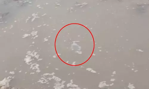 ये अजूबा आपने देखा या नहीं? रहस्यमयी आग!