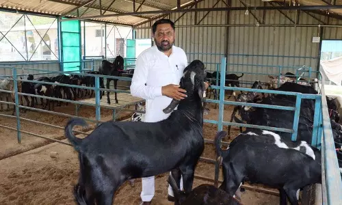 Himachal: प्रगति की ओर अग्रसर, स्व-रोजगार के माध्यम से ग्रामीण विकास
