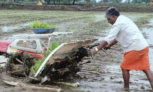 खेती में तकनीकी नवाचार से समृद्धि की ओर बढ़ते नवागढ़ के किसान