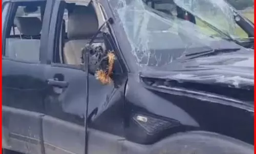 स्टंटबाजी के चक्कर में दांव पर जिंदगी, Reel का जानलेवा नशा!