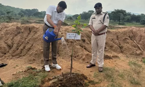 आईजी संजीव शुक्ला ने रायगढ़ फायरिंग रेंज में लगाया पौधा