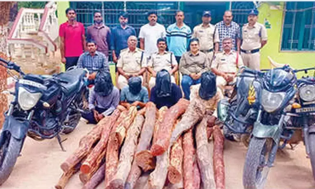 Andhra: लाल चंदन की 22 लकड़ियाँ जब्त, चार गिरफ्तार Andhra: लाल चंदन की 22 लकड़ियाँ जब्त, चार गिरफ्तार