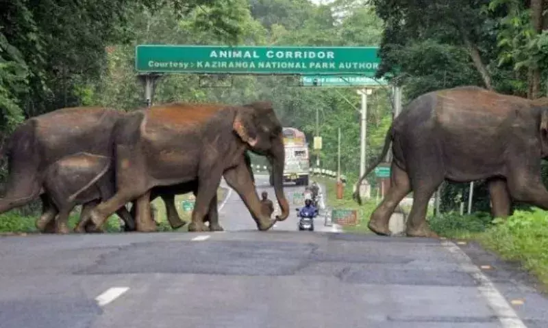 Assam में ब्रह्मपुत्र के नीचे 4-लेन सुरंग को हरी झंडी, पर्यावरण रिपोर्ट अनिवार्य