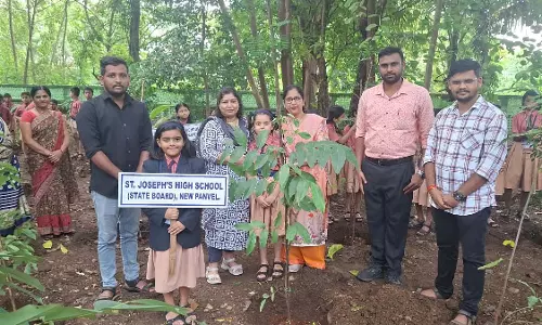 पनवेल नगर निगम ने खंडा कॉलोनी में वृक्षारोपण अभियान चलाया पनवेल नगर निगम ने खंडा कॉलोनी में वृक्षारोपण अभियान चलाया