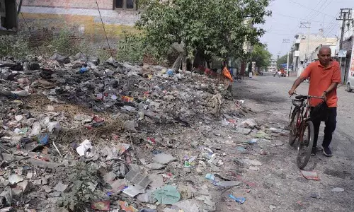 Jalandhar: कूड़ा न साफ ​​करने पर 289 प्लॉट मालिकों को नोटिस