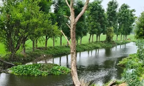 Malerkotla में नालों के ओवरफ्लो और खेतों में पानी भरने से बचने के लिए किसानों ने की सफाई की मांग Malerkotla में नालों के ओवरफ्लो और खेतों में पानी भरने से बचने के लिए किसानों ने की सफाई की मांग