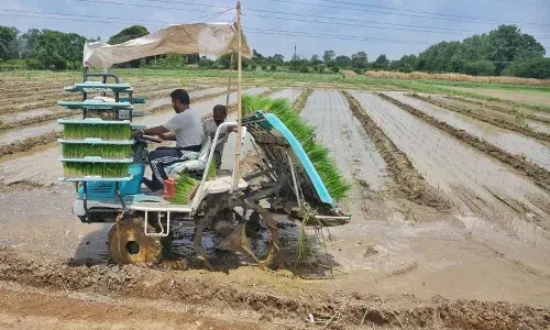 Ludhiana के किसानों को धान की सीधी बुवाई के लिए प्रेरित कर रही Ludhiana के किसानों को धान की सीधी बुवाई के लिए प्रेरित कर रही