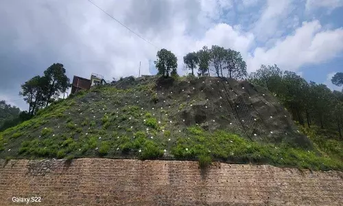 Himachal: ढलानों पर जाल लगाने से राजमार्ग सुरक्षा बढ़ी, भूस्खलन का जोखिम कम हुआ