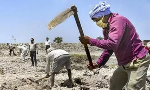 Kamalganj: मनरेगा में भारी गड़बड़ी, उगाही का खेल बेनकाब