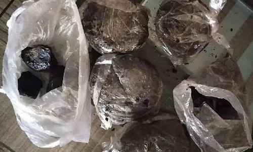 Bareilly: महिला तस्कर के पास से 4 किलो अफीम बरामद Bareilly: महिला तस्कर के पास से 4 किलो अफीम बरामद