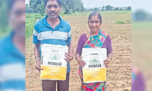 नकली बीज कंपनी के खिलाफ कार्रवाई होनी चाहिए