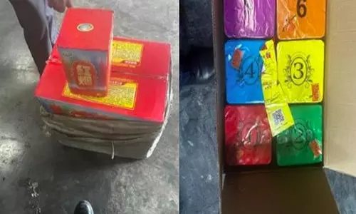 DRI ने ऑपरेशन फायर ट्रेल में ₹35 करोड़ के चीनी पटाखे किए जब्त DRI ने ऑपरेशन फायर ट्रेल में ₹35 करोड़ के चीनी पटाखे किए जब्त