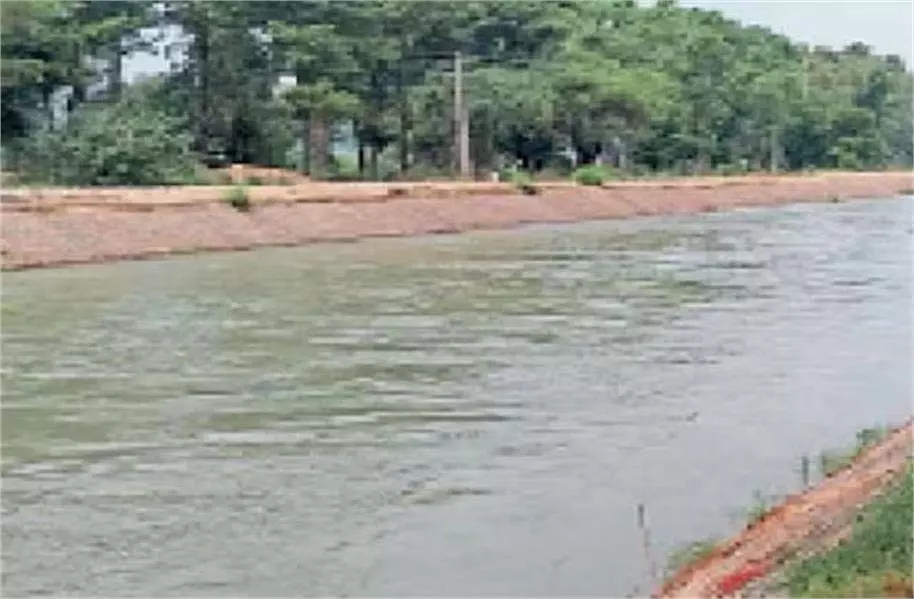 Punjab : युवक ने नहर में कूदकर की आत्महत्या, शव मिलने से फैली सनसनी Punjab : युवक ने नहर में कूदकर की आत्महत्या, शव मिलने से फैली सनसनी