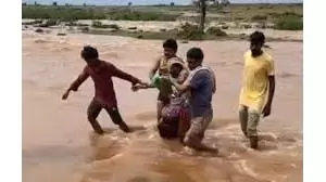 MP News: लकड़ी बीनने गई वृद्धा जंगल के नाले के बहाव में फंसी MP News: लकड़ी बीनने गई वृद्धा जंगल के नाले के बहाव में फंसी