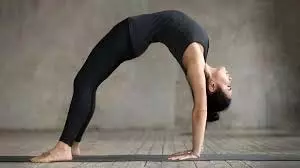Health: चक्रासन देता है कमर दर्द से तुरंत राहत, जानें सही तरीका Health: चक्रासन देता है कमर दर्द से तुरंत राहत, जानें सही तरीका