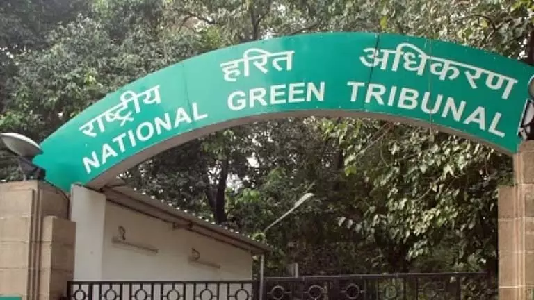 ओडिशा में अवैध खनन के लिए NGT ने पट्टाधारक को 25 लाख रुपये चुकाने का आदेश दिया ओडिशा में अवैध खनन के लिए NGT ने पट्टाधारक को 25 लाख रुपये चुकाने का आदेश दिया