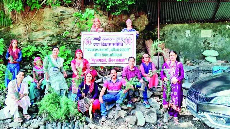200 पौधे रोप दिया हरियाली का संदेश 200 पौधे रोप दिया हरियाली का संदेश