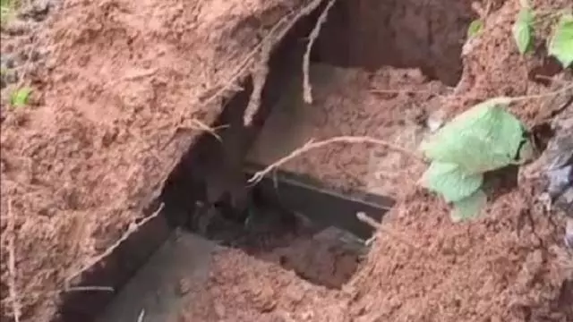 Odisha : सीमा के सारंडा जंगलों में माओवादी बंकर जब्त, विस्फोटक बरामद Odisha : सीमा के सारंडा जंगलों में माओवादी बंकर जब्त, विस्फोटक बरामद