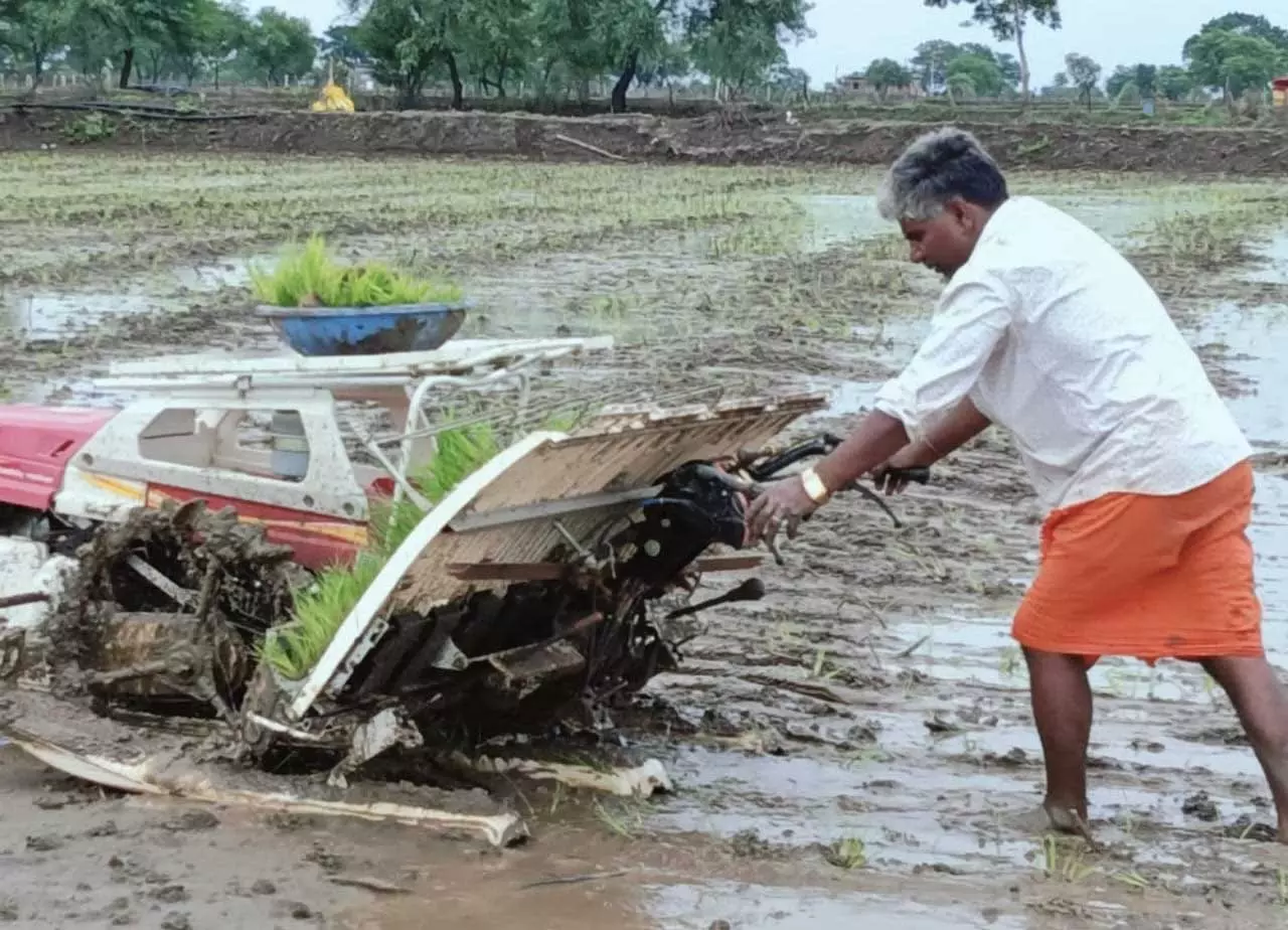 नवागढ़ के किसान संतोष साहू बने प्रेरणा स्रोत नवागढ़ के किसान संतोष साहू बने प्रेरणा स्रोत