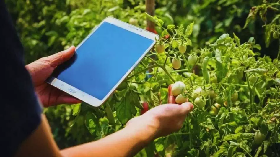 डिजिटल फसल सर्वेक्षण 2025-2026 हेतु व्यापक तैयारी डिजिटल फसल सर्वेक्षण 2025-2026 हेतु व्यापक तैयारी