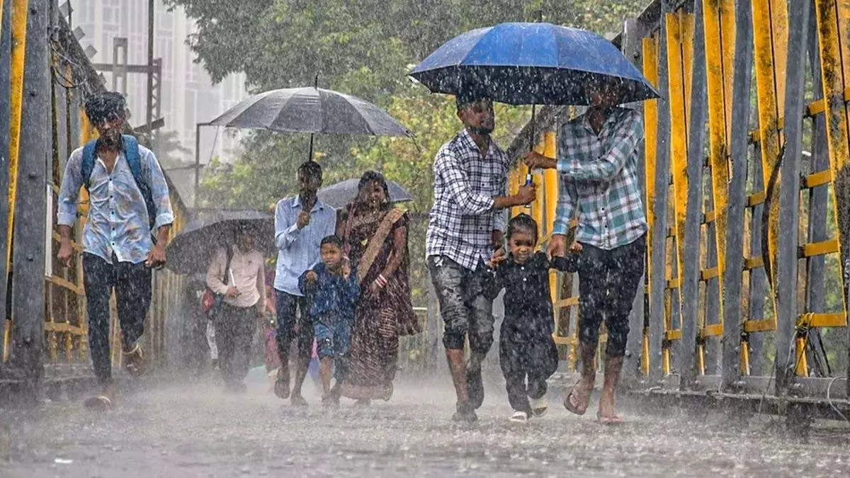 UP : झमाझम बारिश, चित्रकूट और कानपुर में टूटा रिकॉर्ड UP : झमाझम बारिश, चित्रकूट और कानपुर में टूटा रिकॉर्ड