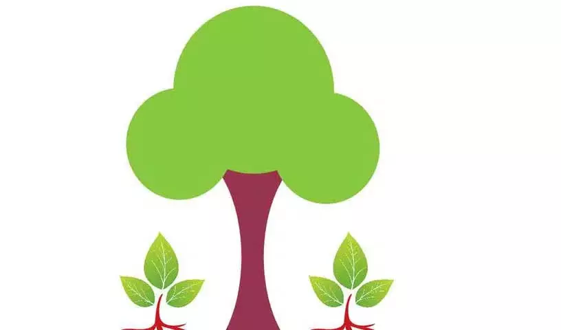 अगला वन महोत्सव कब है? अगला वन महोत्सव कब है?