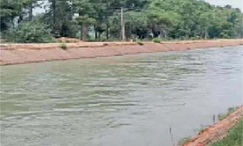 Punjab : युवक ने नहर में कूदकर की आत्महत्या, शव मिलने से फैली सनसनी
