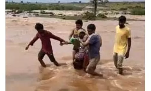 MP News: लकड़ी बीनने गई वृद्धा जंगल के नाले के बहाव में फंसी