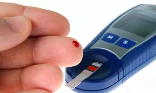 यूकेलिप्टस उपचार से रक्त शर्करा का स्तर कम होता है: अध्ययन में पाया गया यूकेलिप्टस उपचार से रक्त शर्करा का स्तर कम होता है: अध्ययन में पाया गया