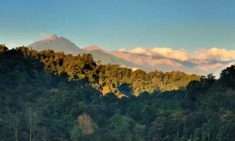 Arunachal हाईवे निर्माण से नामदाफा पार्क को नुकसान, विशेषज्ञों की चेतावनी Arunachal हाईवे निर्माण से नामदाफा पार्क को नुकसान, विशेषज्ञों की चेतावनी