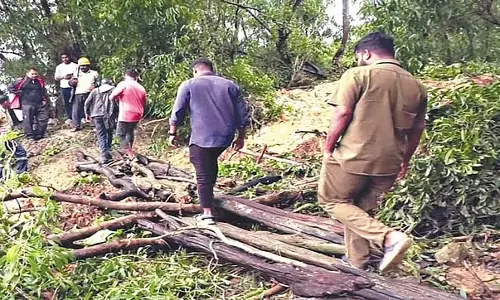 सुलिगेरी गांव में भूस्खलन; लोगों को तीन हफ्ते तक बिजली और ईंधन के बिना रहना पड़ेगा सुलिगेरी गांव में भूस्खलन; लोगों को तीन हफ्ते तक बिजली और ईंधन के बिना रहना पड़ेगा