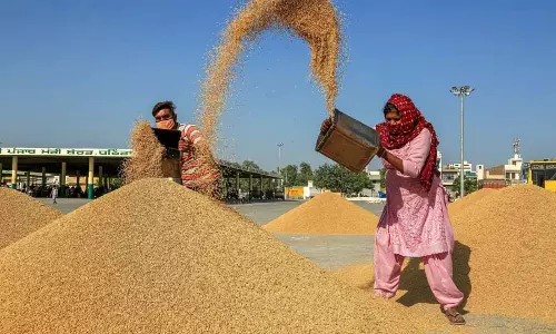 Kerala सहकारिता विभाग की धान से चावल बनाने की परियोजना फाइलों में अटकी Kerala सहकारिता विभाग की धान से चावल बनाने की परियोजना फाइलों में अटकी