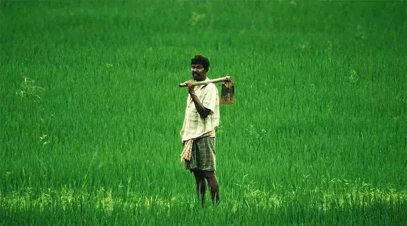 Jaipur: किसानों को राहत: एकमुश्त समझौता योजना की अवधि बढ़ी