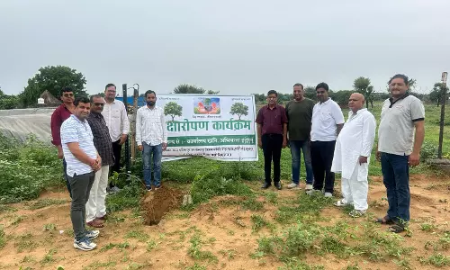 Jhunjhunu: मोड़ा पहाड़ पर 3000 पौधों की हरियाली: खनिज विभाग और क्रेशरधारकों की संयुक्त पहल