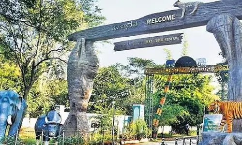 BRT टाइगर रिजर्व के पास तेंदुए का शव मिला; जहर दिए जाने का संदेह BRT टाइगर रिजर्व के पास तेंदुए का शव मिला; जहर दिए जाने का संदेह